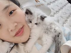 -屋虎猫馆(宝安大仟里店)
