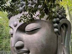 -杭州植物园