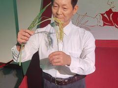 -金石蜡像馆