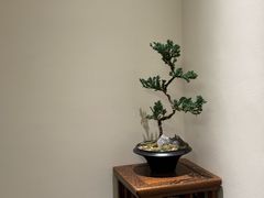 -小茶闲舍·观景商务茶馆(广州塔店)