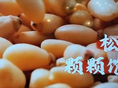 -東北风.东北味道.开封老字号(魏都路店)