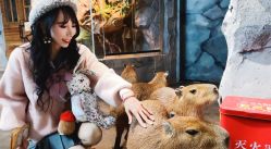 -Zoolung Zoolung动物主题公园(海信广场店)