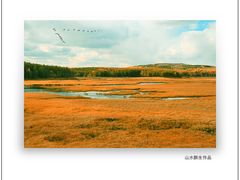 -塞罕坝国家级自然保护区