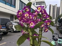 -永汉农贸综合市场