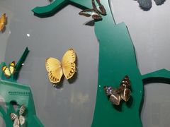 -房山世界地质公园博物馆