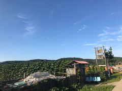 -北极村旅游风景区