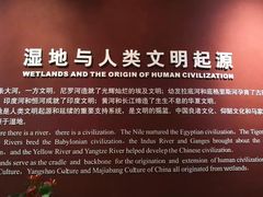 -中国湿地博物馆