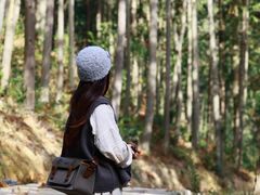 -东钱湖旅游度假区