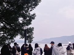 -湖畔居茶楼(湖滨店)