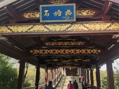-长广溪湿地公园