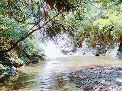 -东天目山风景区