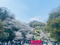 -杭州少年儿童公园