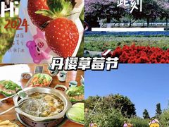 -丹樱生态园