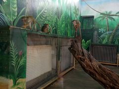 -西安秦岭野生动物园