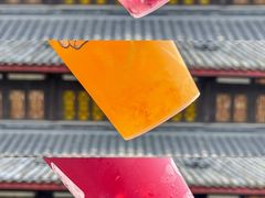 -溪边姑娘·拉丝酸奶水果捞(春熙路店)