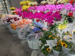 -盒马X会员店(王府井奥莱UP TOWN店)