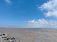 -南汇新城海滩