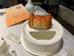 -西湖春天•老字号杭州菜(百汇店)