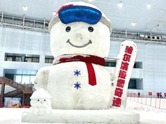-哈尔滨热雪奇迹