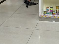 -美联众合动物医院·24h京西诊疗中心