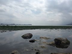 -西昌邛海湿地
