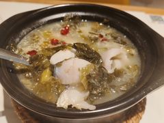 -泰煌鸡·上海白斩鸡·沪菜(平利店)