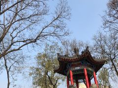 -莲湖公园