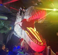 -恐龙探索乐园(磁器口店)