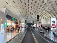 -陈鹏鹏潮汕菜(宝安机场T3航站楼店)