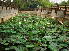 -郑东新区湿地公园