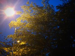 -白沙门生态公园