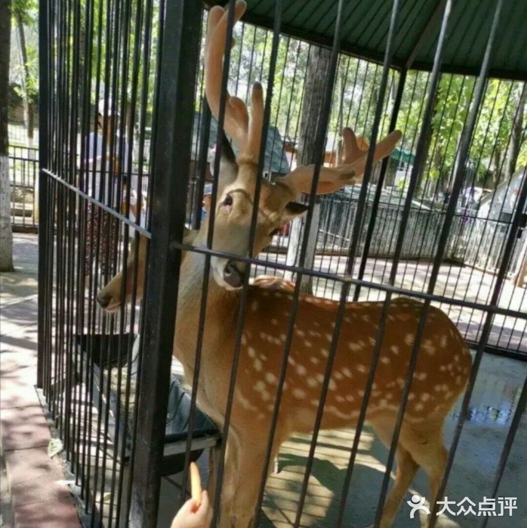 帝都遛娃必打卡🙉🙉亲子动物乐园