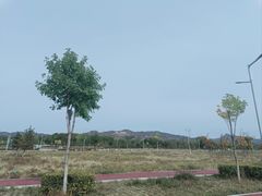 -敕勒川草原
