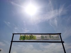 -天津东丽湖风景区