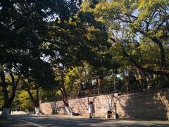 -八大关景区
