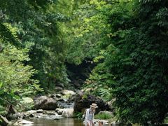 -广州市石门国家森林公园