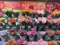 -盒马X会员店(王府井奥莱UP TOWN店)