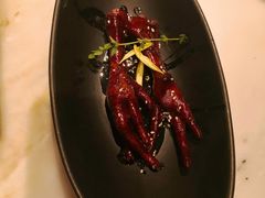 吮指鸡爪-桂满陇天书(南京德基旗舰店)