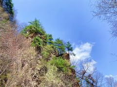 -青峰峡国家森林公园