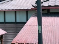 -今日美术馆