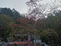 -水濂山森林公园