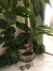 -健身堂科技美肌SPA