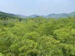 -陶祖圣境风景区