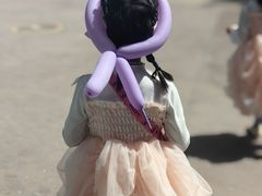 -海合安成都极地海洋公园
