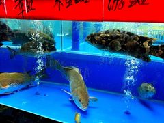 -明本海鲜大排档·鱼生海鲜烧烤宵夜(陈家祠店)