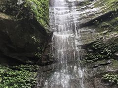 -碧峰峡风景区