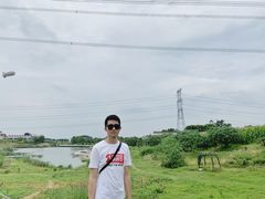 -紫颐香薰山谷景区