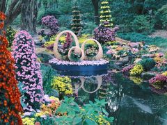 -上海共青森林公园