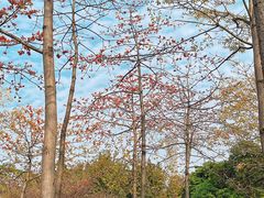 -二沙岛艺术公园
