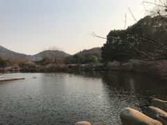 -白马涧龙池景区